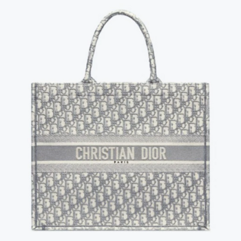imagem Bolsa Christian Dior Book Tote Bordada - Cinza